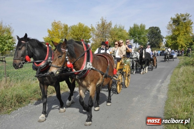 Zdjęcie w galerii na portalu naszraciborz.pl: Hubertus na Ostrogu, czyli pogoń za lisem w Huzarskiej Dolinie  wiadomości z regionu