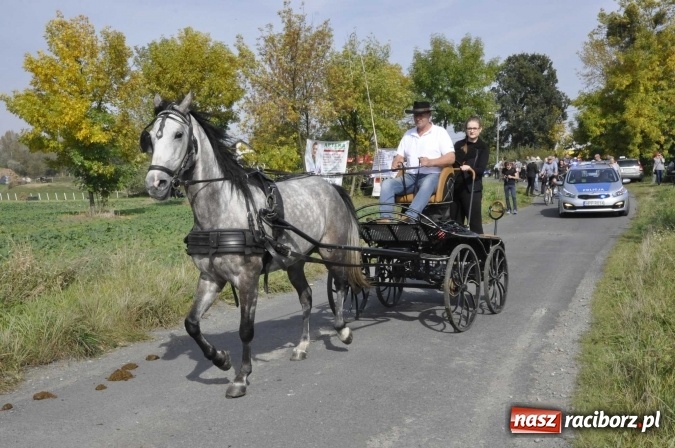 Zdjęcie w galerii na portalu naszraciborz.pl: Hubertus na Ostrogu, czyli pogoń za lisem w Huzarskiej Dolinie  wiadomości z regionu