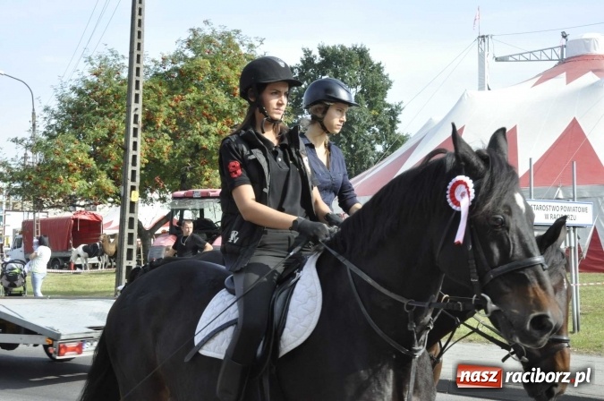 Zdjęcie w galerii na portalu naszraciborz.pl: Hubertus na Ostrogu, czyli pogoń za lisem w Huzarskiej Dolinie  wiadomości z regionu