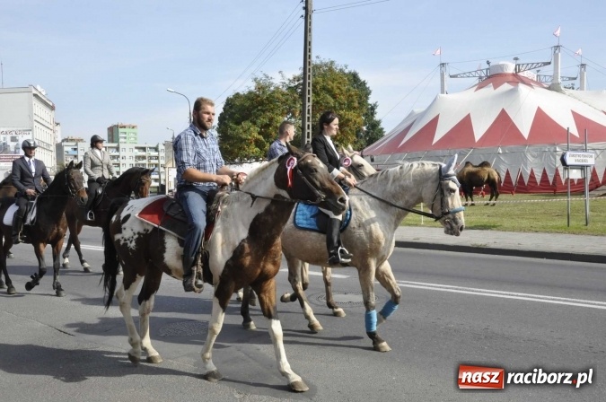 Zdjęcie w galerii na portalu naszraciborz.pl: Hubertus na Ostrogu, czyli pogoń za lisem w Huzarskiej Dolinie  wiadomości z regionu