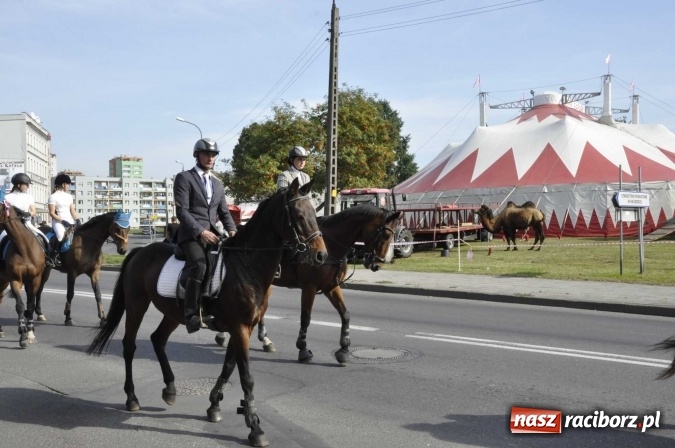 Zdjęcie w galerii na portalu naszraciborz.pl: Hubertus na Ostrogu, czyli pogoń za lisem w Huzarskiej Dolinie  wiadomości z regionu