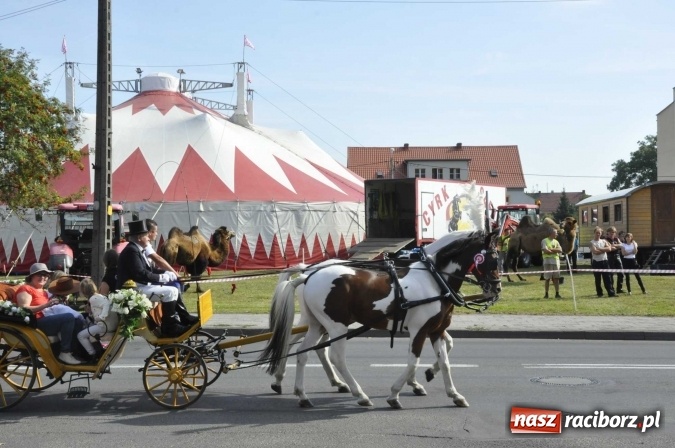 Zdjęcie w galerii na portalu naszraciborz.pl: Hubertus na Ostrogu, czyli pogoń za lisem w Huzarskiej Dolinie  wiadomości z regionu