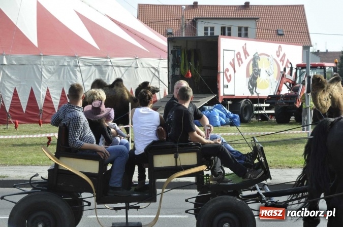 Zdjęcie w galerii na portalu naszraciborz.pl: Hubertus na Ostrogu, czyli pogoń za lisem w Huzarskiej Dolinie  wiadomości z regionu