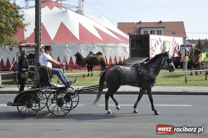 Zdjęcie w galerii na portalu naszraciborz.pl: Hubertus na Ostrogu, czyli pogoń za lisem w Huzarskiej Dolinie  wiadomości z regionu