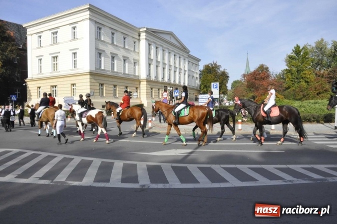 Zdjęcie w galerii na portalu naszraciborz.pl: Hubertus na Ostrogu, czyli pogoń za lisem w Huzarskiej Dolinie  wiadomości z regionu