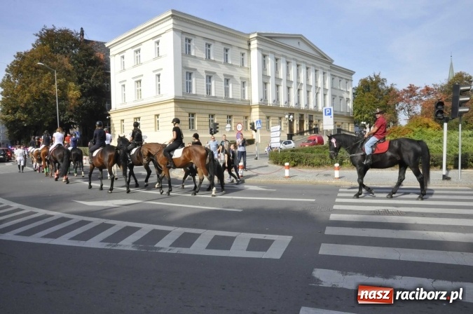 Zdjęcie w galerii na portalu naszraciborz.pl: Hubertus na Ostrogu, czyli pogoń za lisem w Huzarskiej Dolinie  wiadomości z regionu
