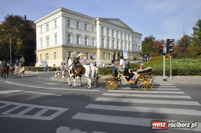 Zdjęcie w galerii na portalu naszraciborz.pl: Hubertus na Ostrogu, czyli pogoń za lisem w Huzarskiej Dolinie  wiadomości z regionu