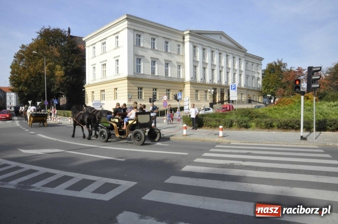 Zdjęcie w galerii na portalu naszraciborz.pl: Hubertus na Ostrogu, czyli pogoń za lisem w Huzarskiej Dolinie  wiadomości z regionu
