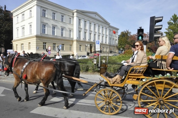 Zdjęcie w galerii na portalu naszraciborz.pl: Hubertus na Ostrogu, czyli pogoń za lisem w Huzarskiej Dolinie  wiadomości z regionu
