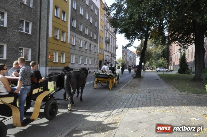 Zdjęcie w galerii na portalu naszraciborz.pl: Hubertus na Ostrogu, czyli pogoń za lisem w Huzarskiej Dolinie  wiadomości z regionu
