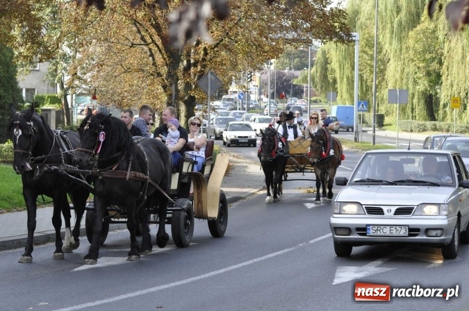 Zdjęcie w galerii na portalu naszraciborz.pl: Hubertus na Ostrogu, czyli pogoń za lisem w Huzarskiej Dolinie  wiadomości z regionu