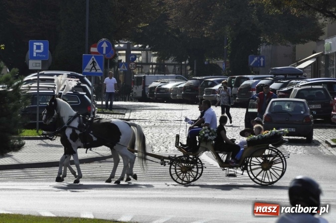 Zdjęcie w galerii na portalu naszraciborz.pl: Hubertus na Ostrogu, czyli pogoń za lisem w Huzarskiej Dolinie  wiadomości z regionu