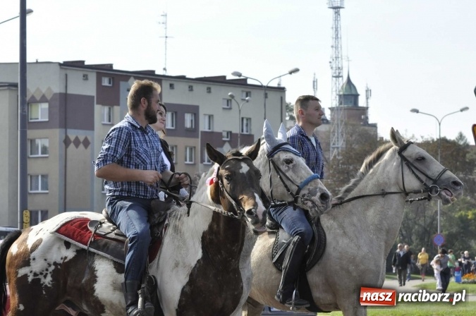Zdjęcie w galerii na portalu naszraciborz.pl: Hubertus na Ostrogu, czyli pogoń za lisem w Huzarskiej Dolinie  wiadomości z regionu