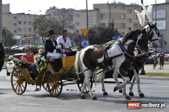 Zdjęcie w galerii na portalu naszraciborz.pl: Hubertus na Ostrogu, czyli pogoń za lisem w Huzarskiej Dolinie  wiadomości z regionu