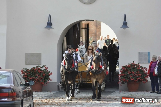 Zdjęcie w galerii na portalu naszraciborz.pl: Hubertus na Ostrogu, czyli pogoń za lisem w Huzarskiej Dolinie  wiadomości z regionu