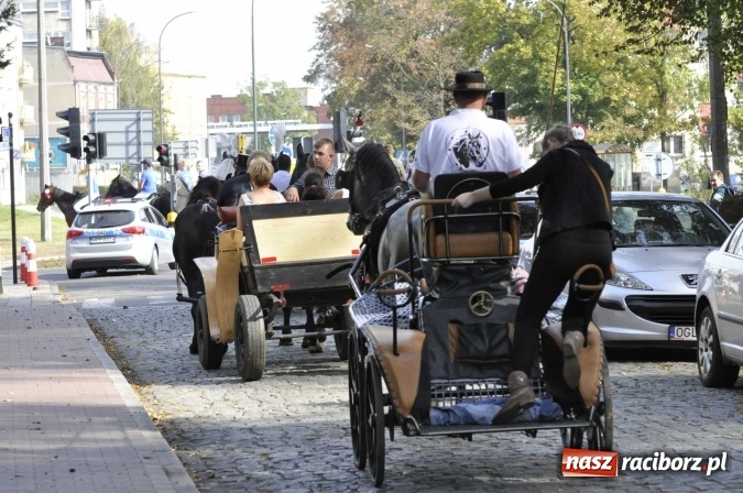 Zdjęcie w galerii na portalu naszraciborz.pl: Hubertus na Ostrogu, czyli pogoń za lisem w Huzarskiej Dolinie  wiadomości z regionu
