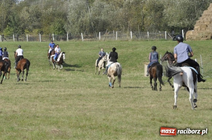 Zdjęcie w galerii na portalu naszraciborz.pl: Hubertus na Ostrogu, czyli pogoń za lisem w Huzarskiej Dolinie  wiadomości z regionu