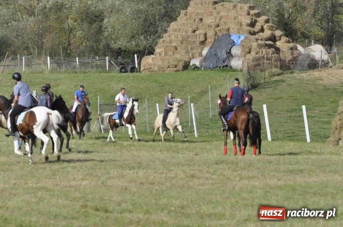 Zdjęcie w galerii na portalu naszraciborz.pl: Hubertus na Ostrogu, czyli pogoń za lisem w Huzarskiej Dolinie  wiadomości z regionu