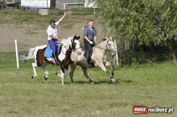 Zdjęcie w galerii na portalu naszraciborz.pl: Hubertus na Ostrogu, czyli pogoń za lisem w Huzarskiej Dolinie  wiadomości z regionu