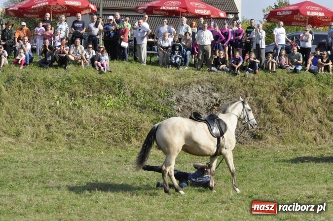 Zdjęcie w galerii na portalu naszraciborz.pl: Hubertus na Ostrogu, czyli pogoń za lisem w Huzarskiej Dolinie  wiadomości z regionu