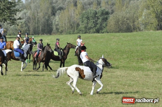 Zdjęcie w galerii na portalu naszraciborz.pl: Hubertus na Ostrogu, czyli pogoń za lisem w Huzarskiej Dolinie  wiadomości z regionu