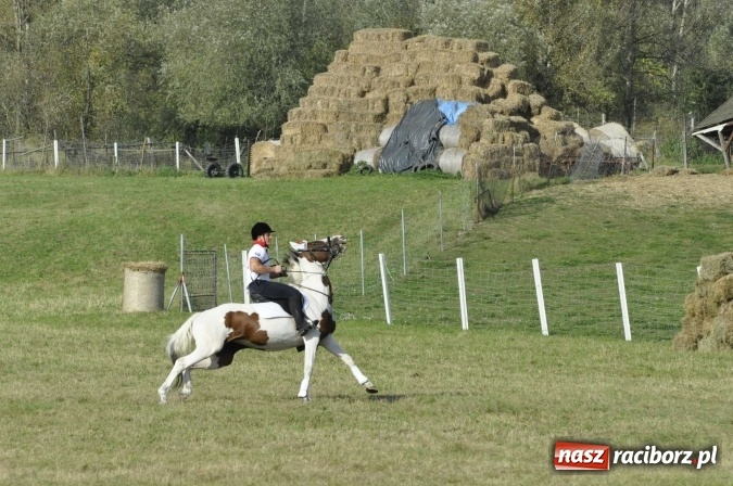 Zdjęcie w galerii na portalu naszraciborz.pl: Hubertus na Ostrogu, czyli pogoń za lisem w Huzarskiej Dolinie  wiadomości z regionu