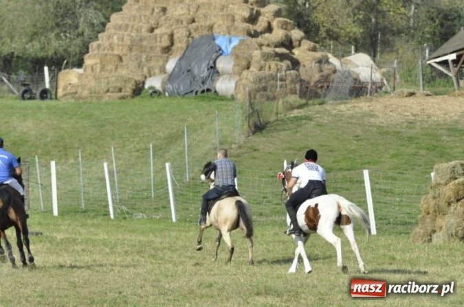 Zdjęcie w galerii na portalu naszraciborz.pl: Hubertus na Ostrogu, czyli pogoń za lisem w Huzarskiej Dolinie  wiadomości z regionu
