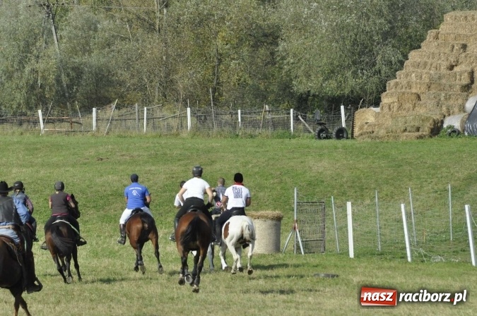 Zdjęcie w galerii na portalu naszraciborz.pl: Hubertus na Ostrogu, czyli pogoń za lisem w Huzarskiej Dolinie  wiadomości z regionu
