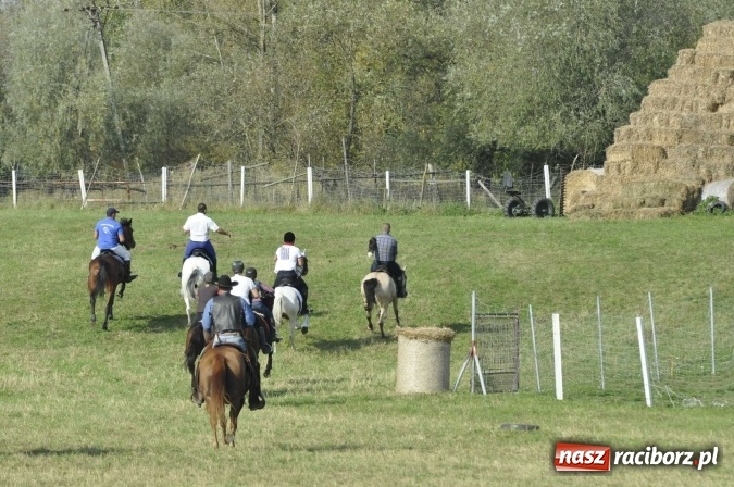 Zdjęcie w galerii na portalu naszraciborz.pl: Hubertus na Ostrogu, czyli pogoń za lisem w Huzarskiej Dolinie  wiadomości z regionu