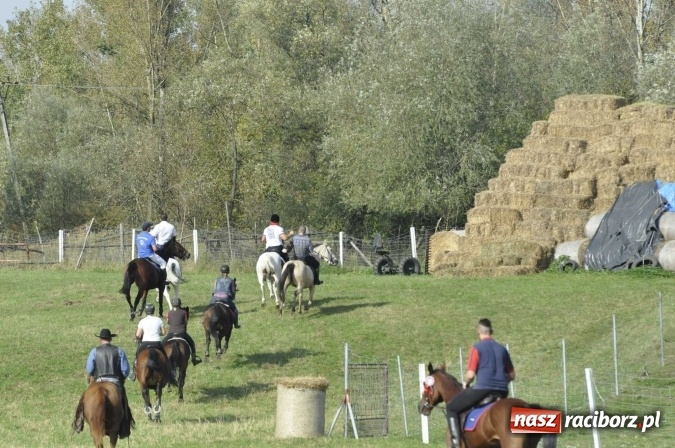 Zdjęcie w galerii na portalu naszraciborz.pl: Hubertus na Ostrogu, czyli pogoń za lisem w Huzarskiej Dolinie  wiadomości z regionu