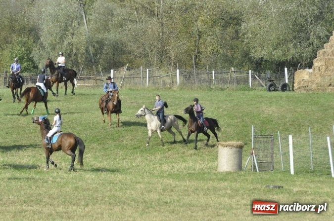 Zdjęcie w galerii na portalu naszraciborz.pl: Hubertus na Ostrogu, czyli pogoń za lisem w Huzarskiej Dolinie  wiadomości z regionu