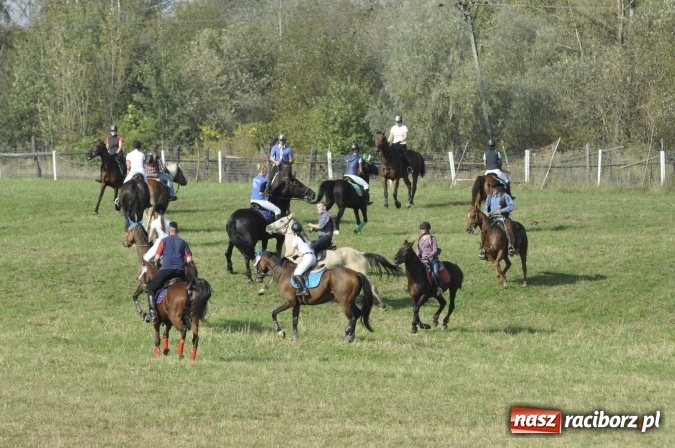 Zdjęcie w galerii na portalu naszraciborz.pl: Hubertus na Ostrogu, czyli pogoń za lisem w Huzarskiej Dolinie  wiadomości z regionu