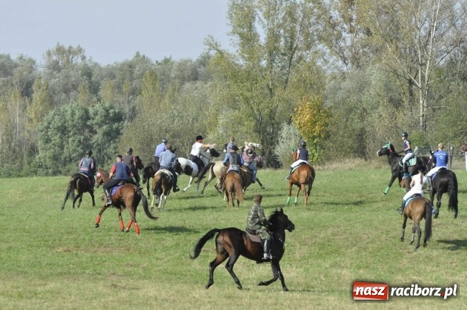 Zdjęcie w galerii na portalu naszraciborz.pl: Hubertus na Ostrogu, czyli pogoń za lisem w Huzarskiej Dolinie  wiadomości z regionu
