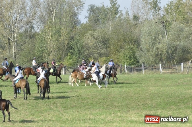 Zdjęcie w galerii na portalu naszraciborz.pl: Hubertus na Ostrogu, czyli pogoń za lisem w Huzarskiej Dolinie  wiadomości z regionu