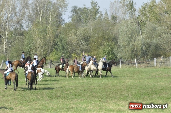 Zdjęcie w galerii na portalu naszraciborz.pl: Hubertus na Ostrogu, czyli pogoń za lisem w Huzarskiej Dolinie  wiadomości z regionu