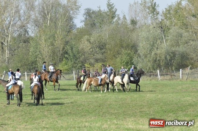 Zdjęcie w galerii na portalu naszraciborz.pl: Hubertus na Ostrogu, czyli pogoń za lisem w Huzarskiej Dolinie  wiadomości z regionu
