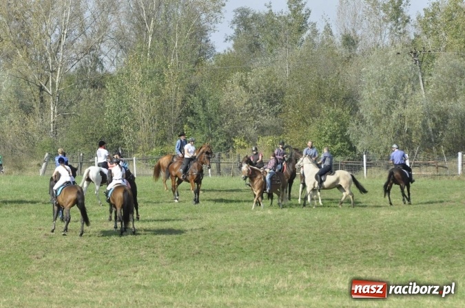 Zdjęcie w galerii na portalu naszraciborz.pl: Hubertus na Ostrogu, czyli pogoń za lisem w Huzarskiej Dolinie  wiadomości z regionu