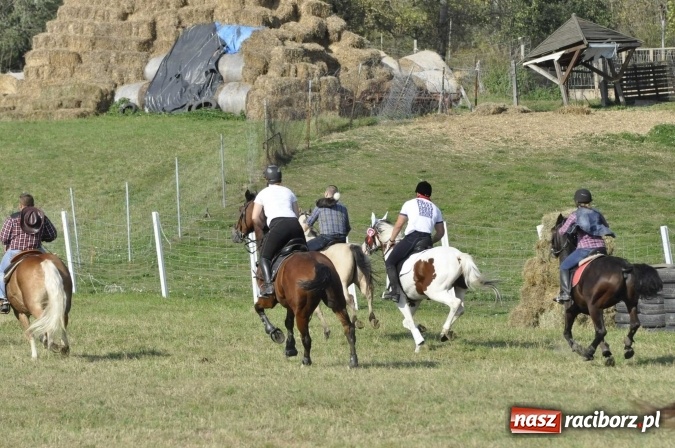 Zdjęcie w galerii na portalu naszraciborz.pl: Hubertus na Ostrogu, czyli pogoń za lisem w Huzarskiej Dolinie  wiadomości z regionu