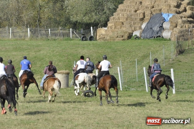 Zdjęcie w galerii na portalu naszraciborz.pl: Hubertus na Ostrogu, czyli pogoń za lisem w Huzarskiej Dolinie  wiadomości z regionu