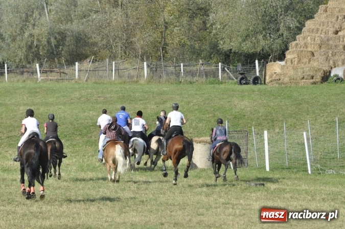 Zdjęcie w galerii na portalu naszraciborz.pl: Hubertus na Ostrogu, czyli pogoń za lisem w Huzarskiej Dolinie  wiadomości z regionu
