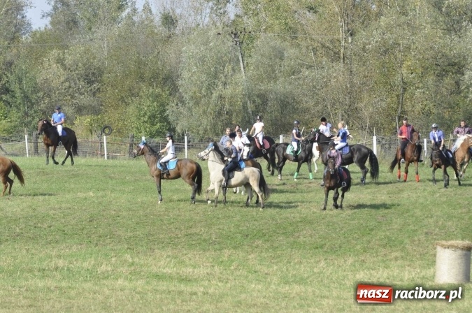 Zdjęcie w galerii na portalu naszraciborz.pl: Hubertus na Ostrogu, czyli pogoń za lisem w Huzarskiej Dolinie  wiadomości z regionu