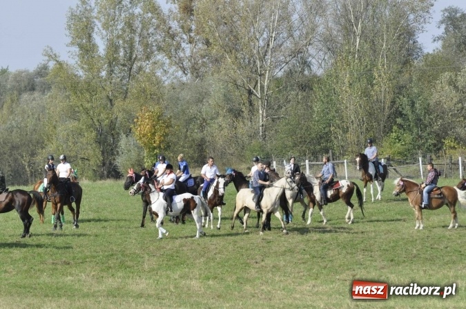 Zdjęcie w galerii na portalu naszraciborz.pl: Hubertus na Ostrogu, czyli pogoń za lisem w Huzarskiej Dolinie  wiadomości z regionu
