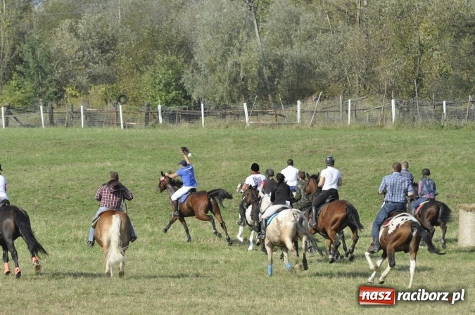 Zdjęcie w galerii na portalu naszraciborz.pl: Hubertus na Ostrogu, czyli pogoń za lisem w Huzarskiej Dolinie  wiadomości z regionu