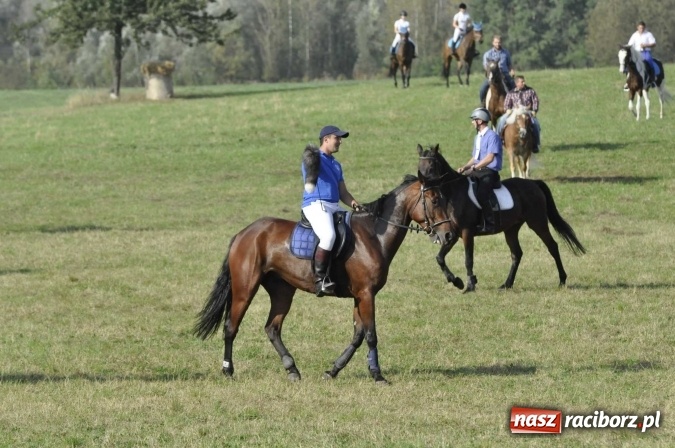 Zdjęcie w galerii na portalu naszraciborz.pl: Hubertus na Ostrogu, czyli pogoń za lisem w Huzarskiej Dolinie  wiadomości z regionu