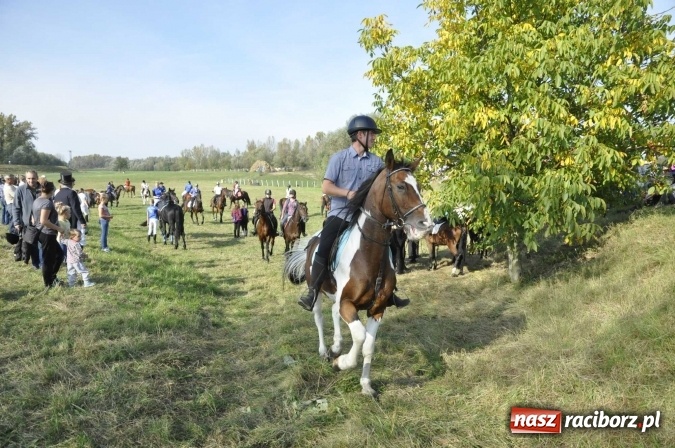 Zdjęcie w galerii na portalu naszraciborz.pl: Hubertus na Ostrogu, czyli pogoń za lisem w Huzarskiej Dolinie  wiadomości z regionu