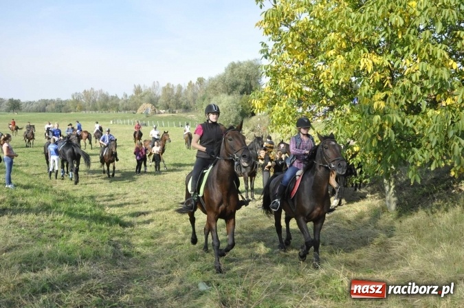 Zdjęcie w galerii na portalu naszraciborz.pl: Hubertus na Ostrogu, czyli pogoń za lisem w Huzarskiej Dolinie  wiadomości z regionu
