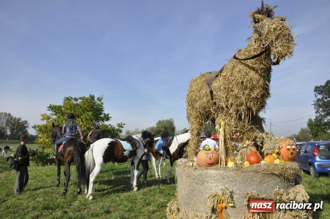 Zdjęcie w galerii na portalu naszraciborz.pl: Hubertus na Ostrogu, czyli pogoń za lisem w Huzarskiej Dolinie  wiadomości z regionu