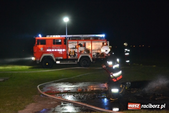 Zdjęcie w galerii na portalu naszraciborz.pl: Kartofelfest w Rudyszwałdzie  wiadomości z regionu