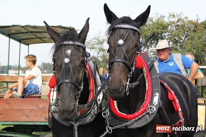 Zdjęcie w galerii na portalu naszraciborz.pl: Piknik św. Huberta w gminie Kornowac wiadomości z regionu