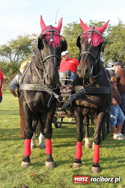 Zdjęcie w galerii na portalu naszraciborz.pl: Piknik św. Huberta w gminie Kornowac wiadomości z regionu